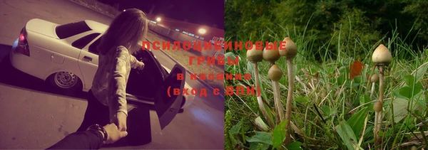 бошки Балахна